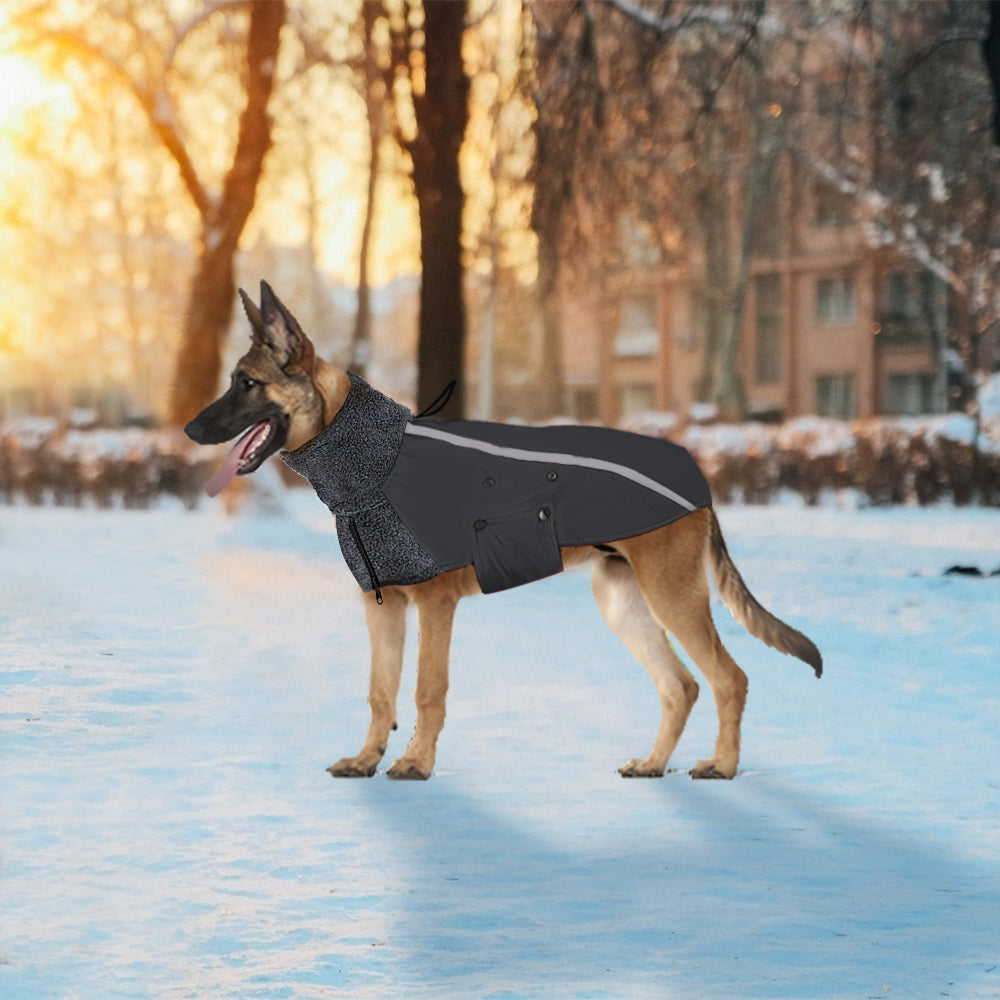 dog coat