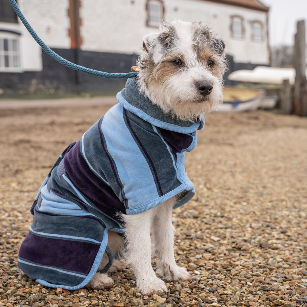 dog coat