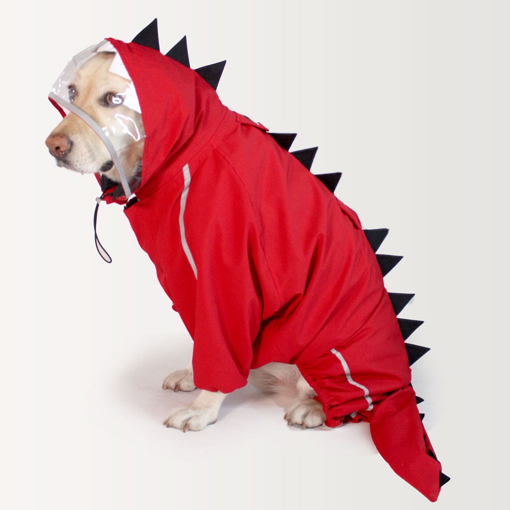 Red-Dino-raincoat