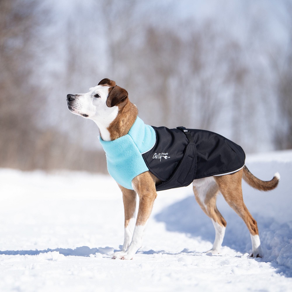 Turquoise_Winter_Dog_Coat