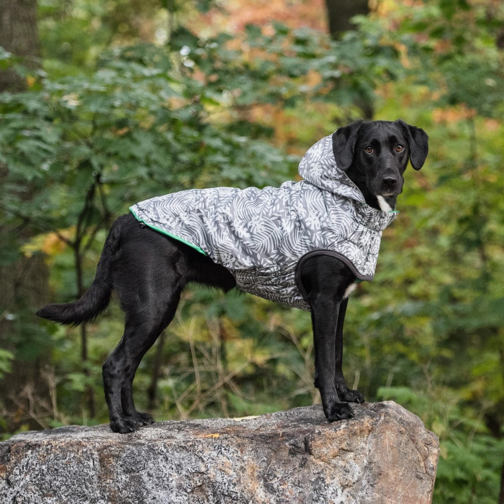 dog-rain-coat-green-large-dog