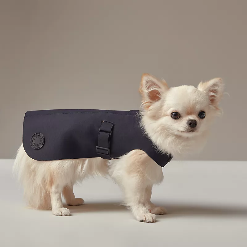 dog rain coat