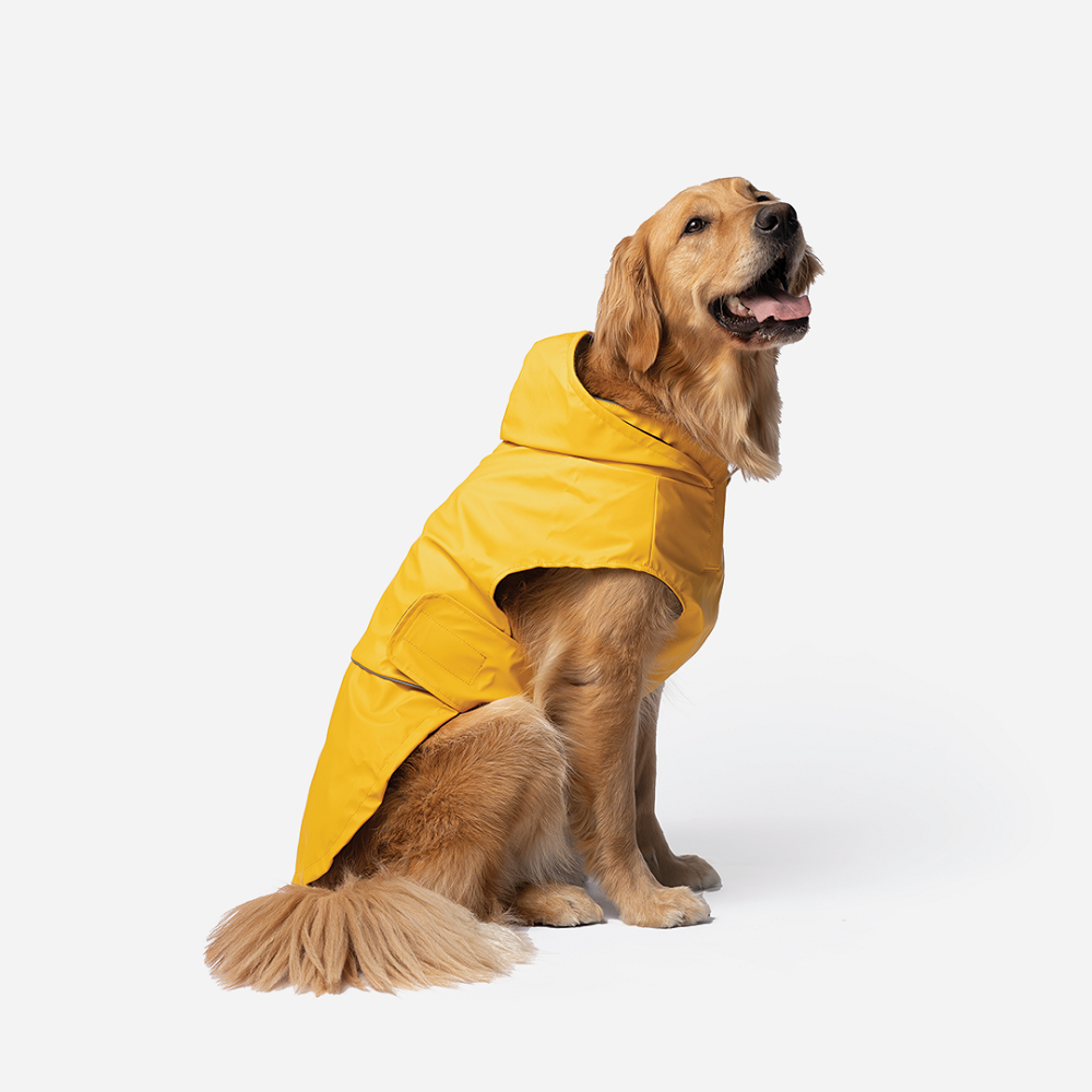 dog rain coat