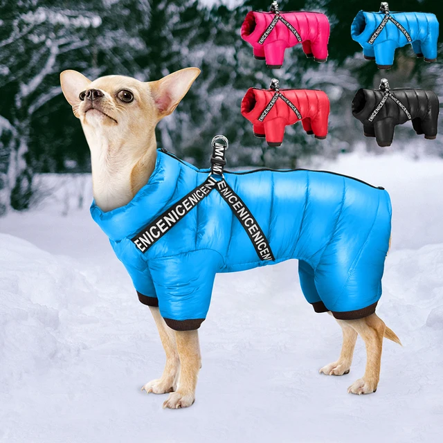 dog winter coat