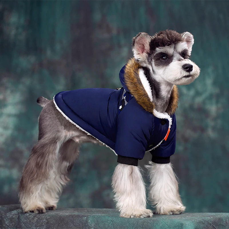 dog winter coat