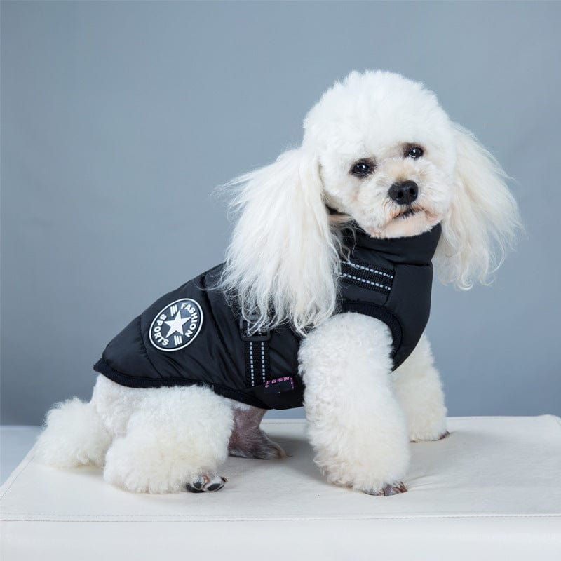 dog winter coat