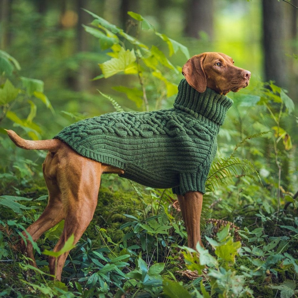 dog sweaters