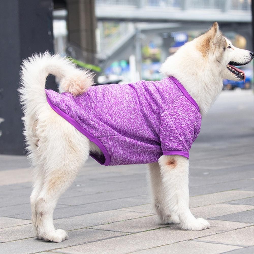 dog sweaters