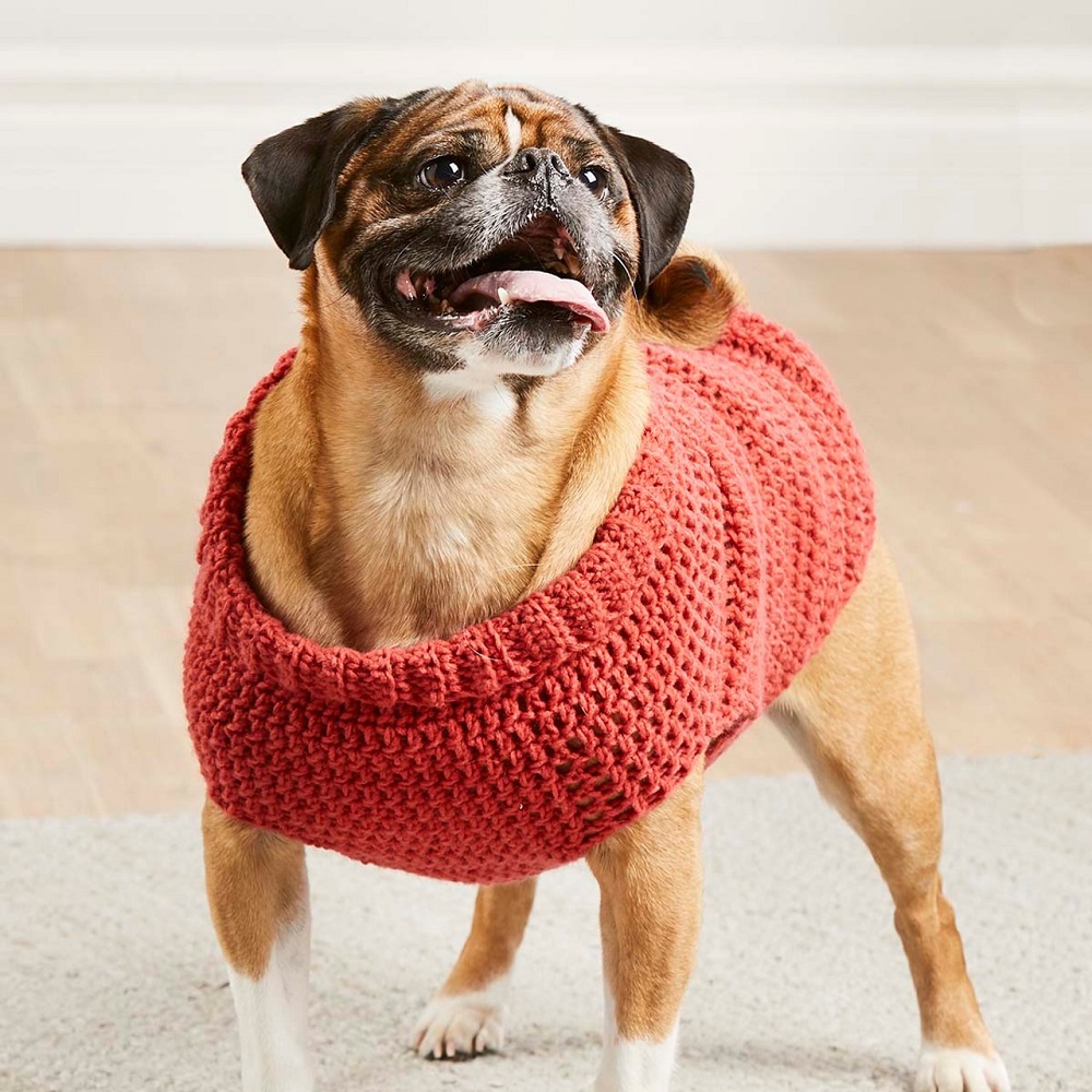 dog sweaters
